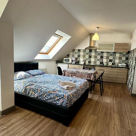 Appartement 4 Personnes En Plein Centre De Кольмар Экстерьер фото