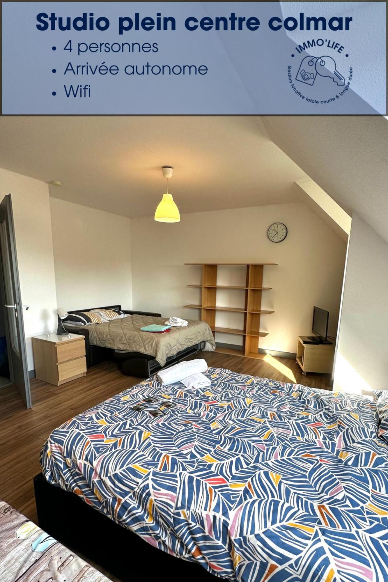 Appartement 4 Personnes En Plein Centre De Кольмар Экстерьер фото